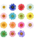 Floral Resin Rakhi